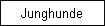 Junghunde